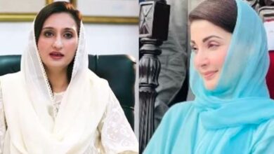 cm maryam nawazs,malika bukhari
