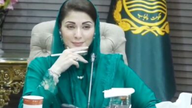 cm punjab maryam nawaz