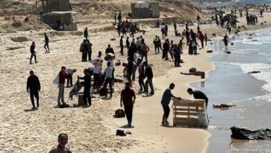 gahza phalsteeni shaheed