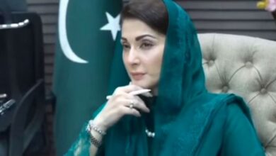 maryam nawaz
