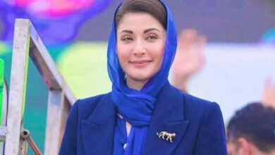 maryam nawaz at youm e pakistan