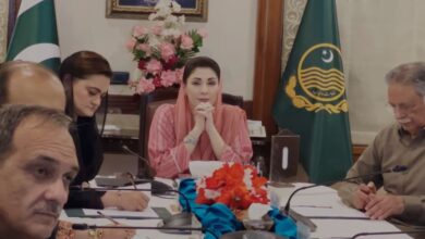 maryam nawaz cabinent meeting