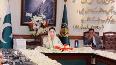 maryam nawaz cm punjab