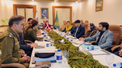 maryam nawaz meeting