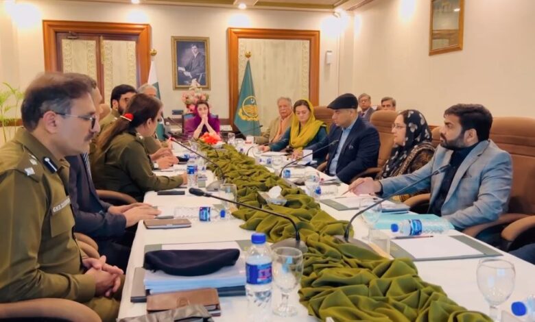 maryam nawaz meeting