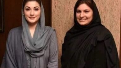 nusheen iftikhar,cm maryam nawaz