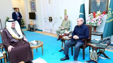 pm shebaz sharief,sauiya safeer