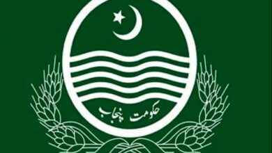 punjab government