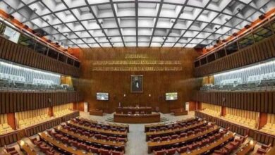 senat election