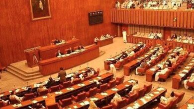 senat election from punjab seats