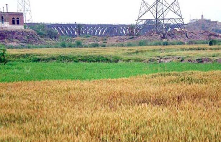 agriculture land in punjab pakistan