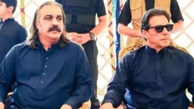 ali ameen gandapure meet with imran khan