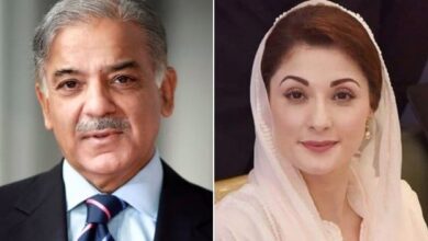 cm maryam nawaz,pm shebaz sharief