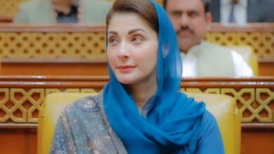 cm punjab maryam nawaz
