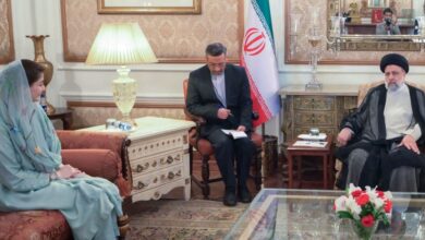 cm punjab meets iranian president