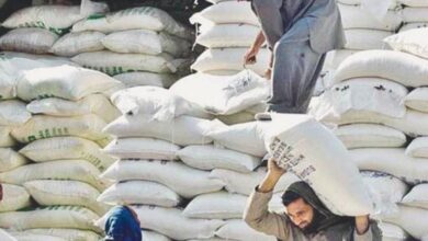 flour prices dwon in punjab