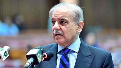 pm shebaz sharief