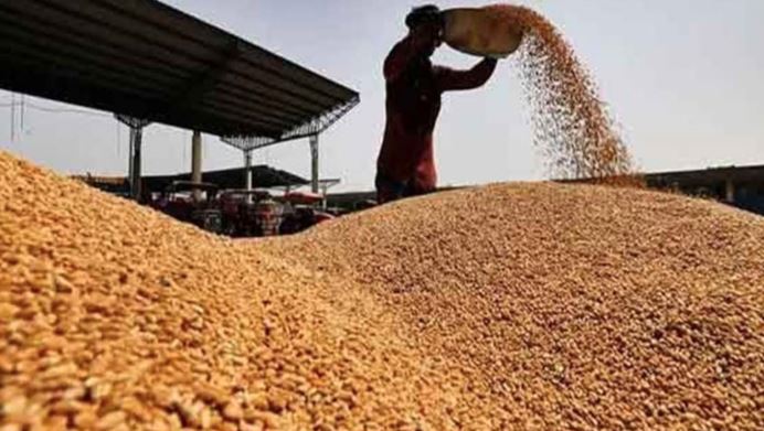 wheat export in pakistan