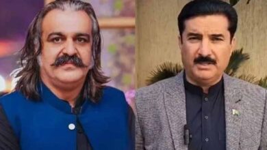 aali amin gandapur,faysal kareem kundi