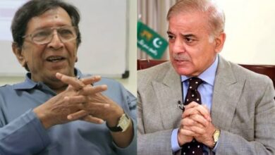 actor talat husain,pm shebaz sharief