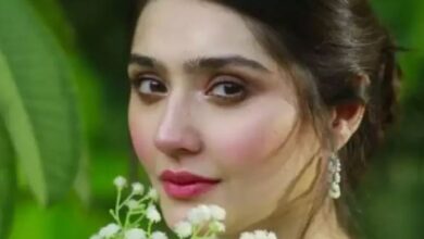 actress dur e fishan saleem