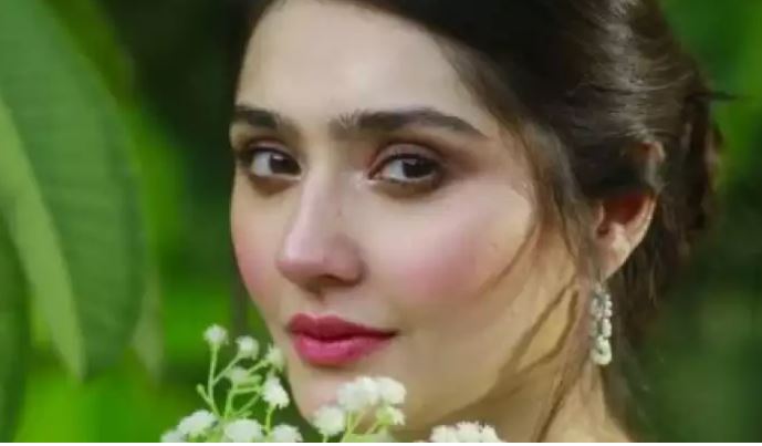 actress dur e fishan saleem