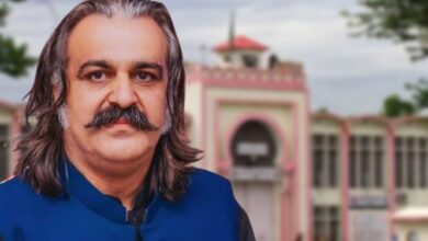 ali amin gandapur