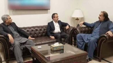 ali amin gandapur,avais laghari,mohsin naqvi