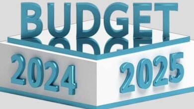 budget 2024 on 8th june