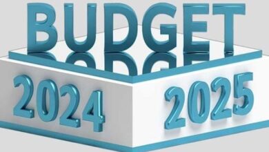 budget 2024,2025