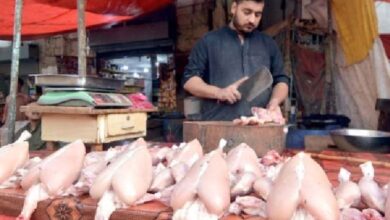 chicken prices in pakistan