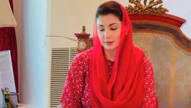 cm maryam nawaz