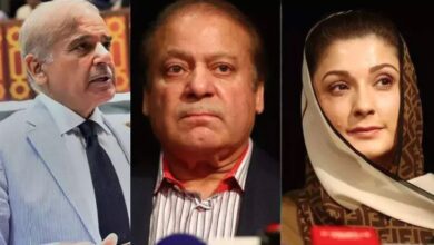 cm maryam nawaz,nawaz sharief,shebaz sharief
