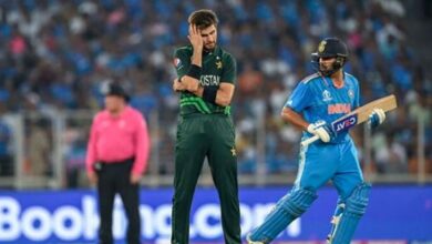 cricket mach,pak vs india,fan park