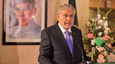 duptey pm ishaq dar
