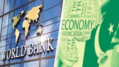 economy of pakistan,world bank