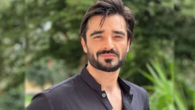 hamza ali abbasi