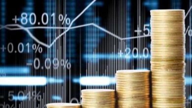 investment in pakistan