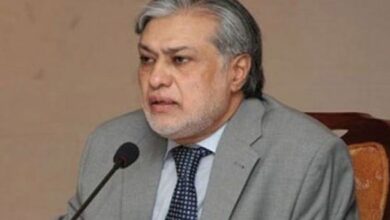 ishaq dar