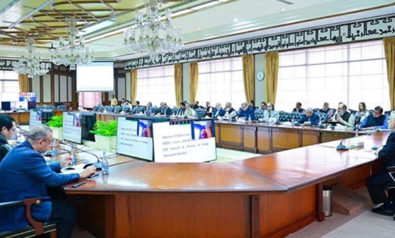 ishaq dar, privatisation