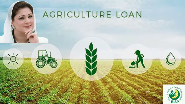 maryam nawaz and punjab farmer