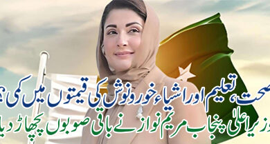 maryam nawaz final