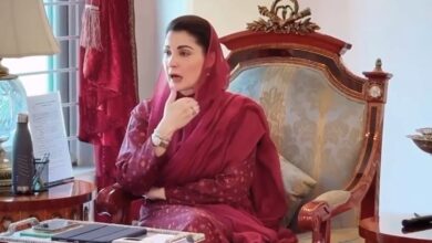 maryam nawaz health meeting