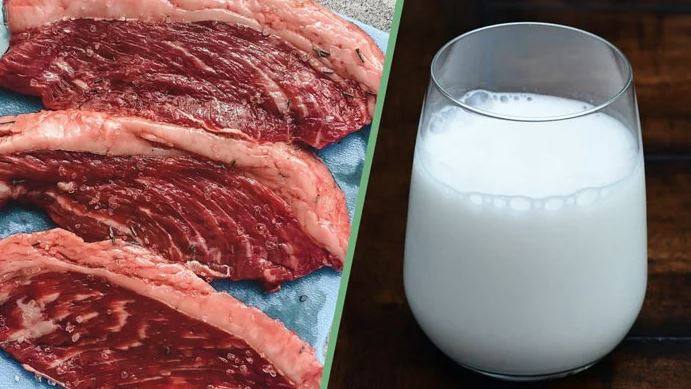 milk and meat price