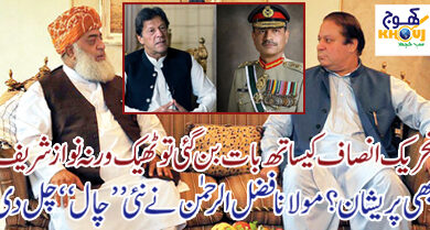 nawaz sharif and fazal ur rehman meeting