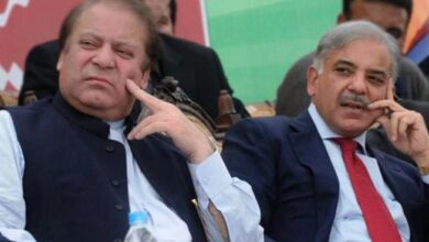 nawaz sharif and shahbaz sharif