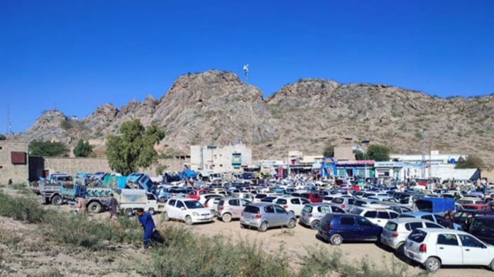 non custom paid cars