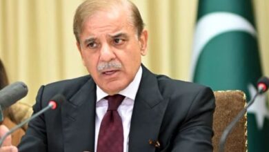 pm shebaz sharief