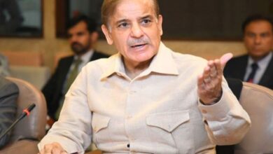 pm shebaz sharief
