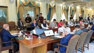pm shebaz sharief and load sheding in pakistan